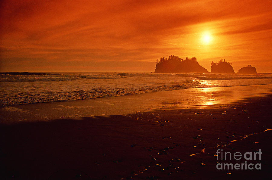LaPush Sunset 3 Photograph by Earl Johnson