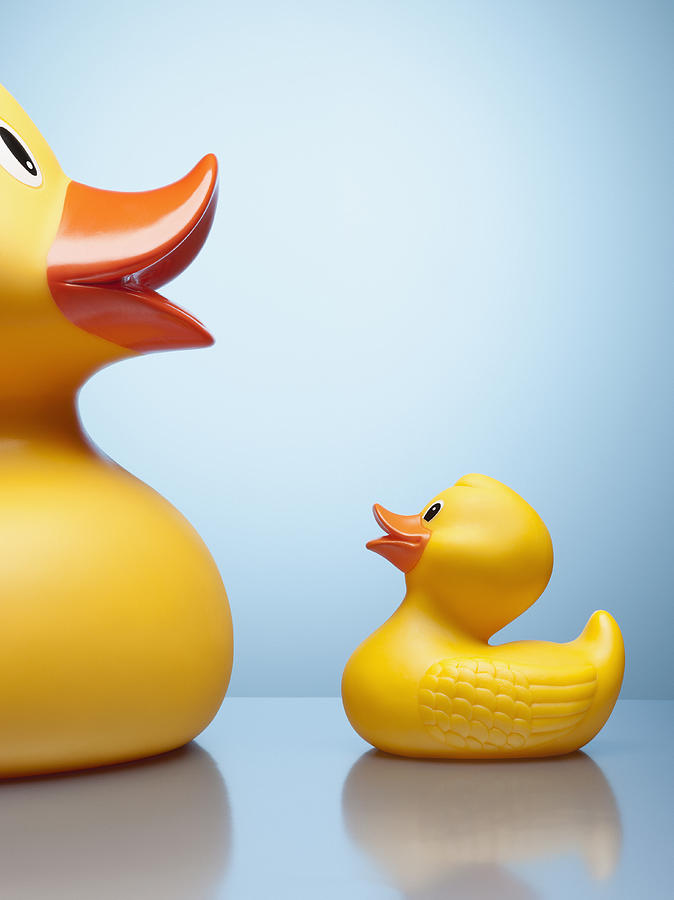 Large and small rubber ducks Photograph by Andy Roberts