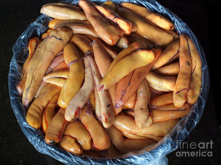 Roe Photograph - Large Basket With Mullet Roe by Yali Shi Roe Photograph - Large Basket With Mullet Roe by Yali Shi