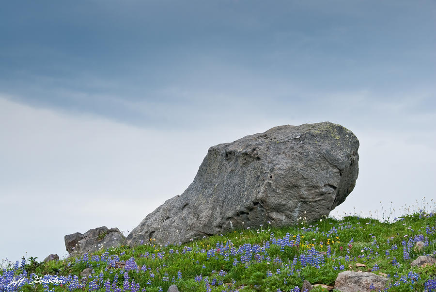 Large Boulder Deposited by a Glacier in an Alpine Meadow Photograph by Jeff Goulden