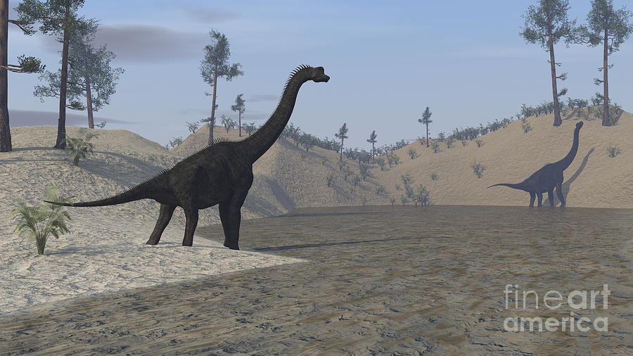 Large Brachiosaurus Roaming The Edge Digital Art by Kostyantyn ...