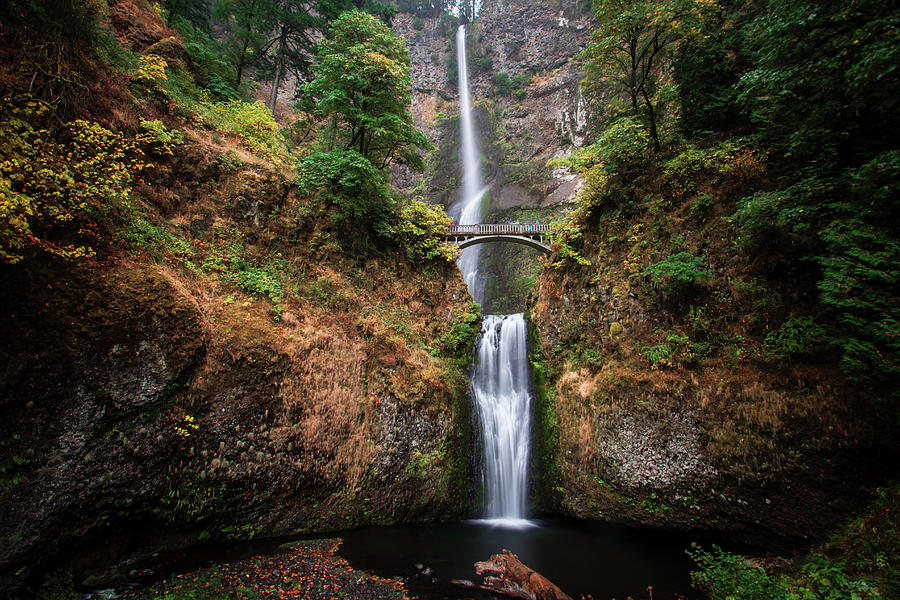 Large Double Waterfall In Forest Photograph by Heather Leigh West