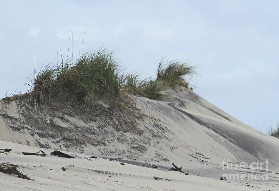 Beach Photograph - Large Dunes by Cathy Lindsey