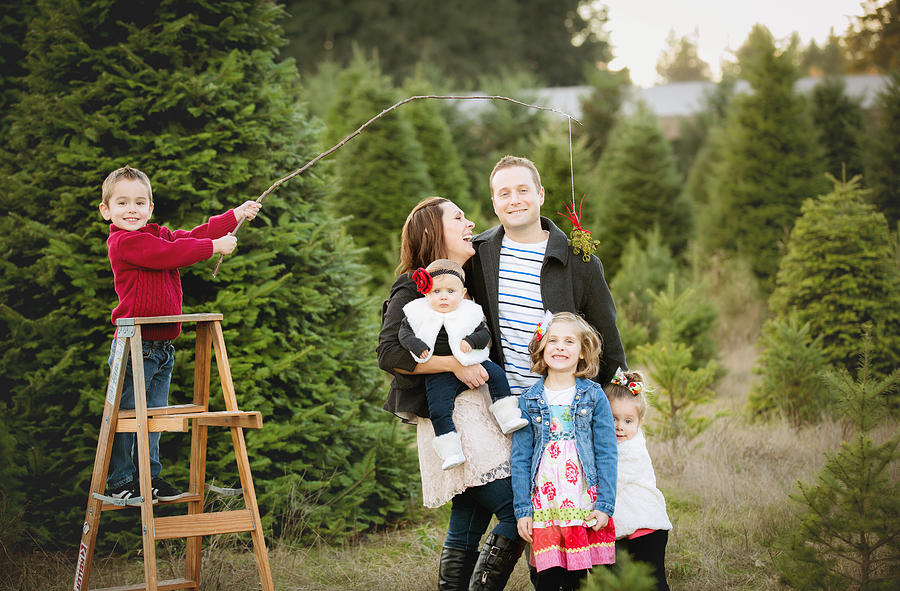 Large Family Christmas Card photo in Christmas Tree Farm . Photograph by Jfairone