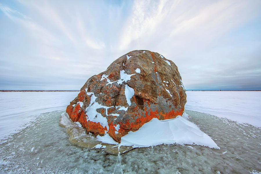 Large Lichen Covered Rock In A Frozen Photograph by Robert Postma / Design Pics