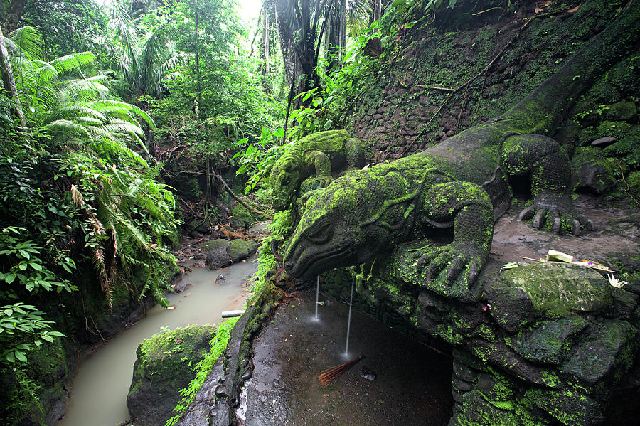 Large Lizard Statues And Water In Wet Photograph by Aaron Black - Fine ...