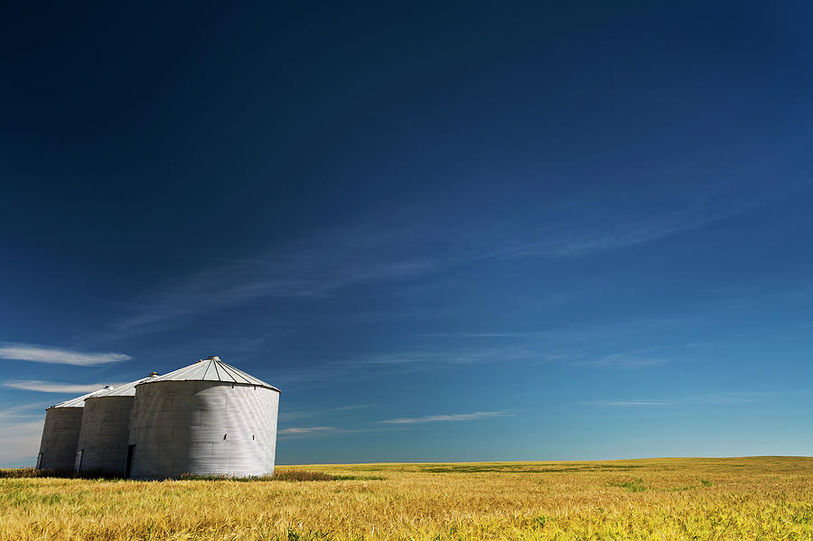 Large Metal Grain Bins In A Barley Photograph by Michael Interisano