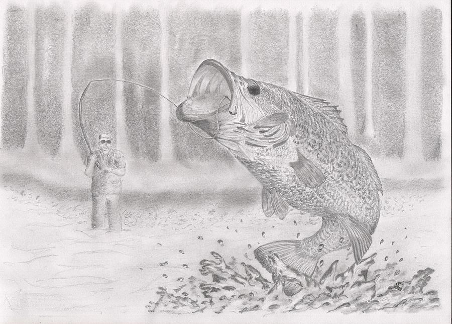 Large Mouth Bass Drawing by Stephen Brissette - Fine Art America