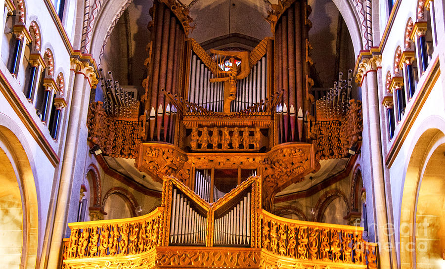 Large Organ Photograph by Rick Bragan