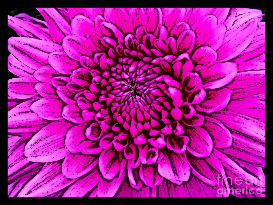 Large Pink Dahlia Retro Style Mixed Media by Joan-Violet Stretch