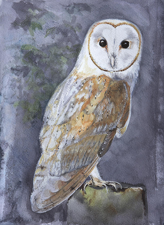 Large White Barn Owl Painting By Kathryn Dalziel