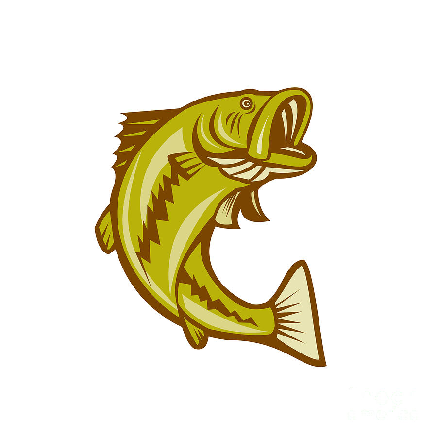 Largemouth Bass Jumping Cartoon Digital Art by Aloysius Patrimonio.