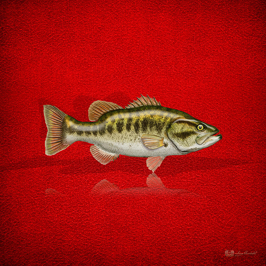 Widemouth Bass Digital Art - Largemouth Bass on Red Leather by Serge Averbukh