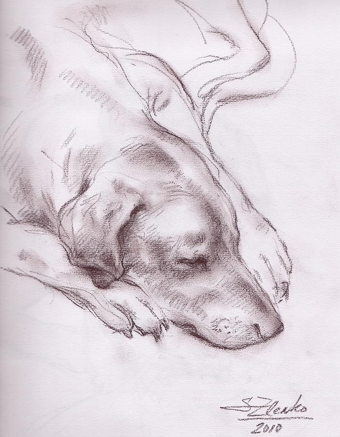 Lars sleeping Drawing by Serguei Zlenko