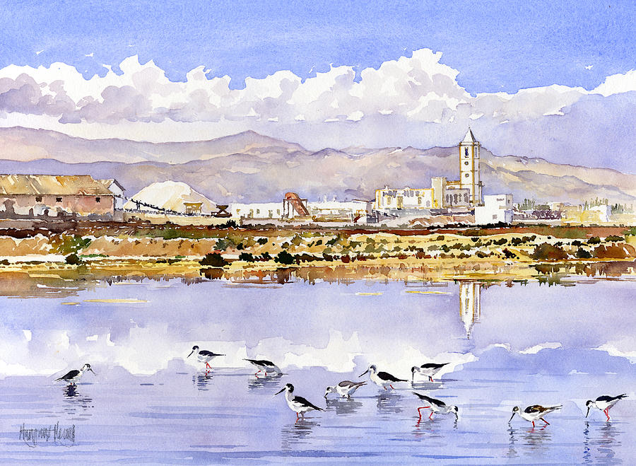Bird Painting - Las Salinas de Cabo de Gata by Margaret Merry