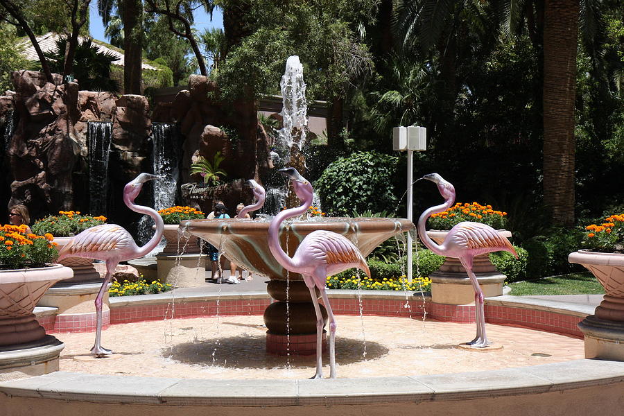 Flamingo Photograph - Las Vegas - Flamingo Casino - 12122 by DC Photographer