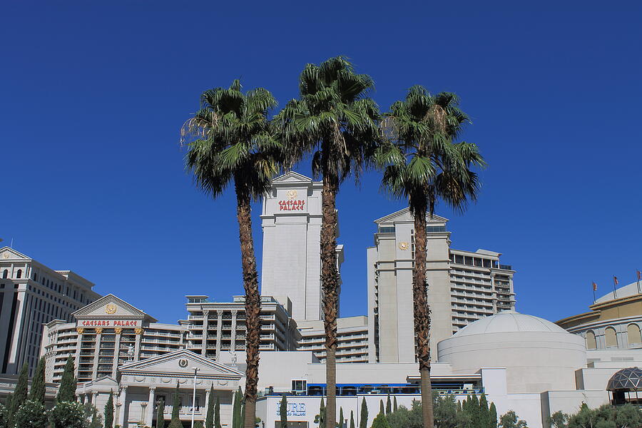 Architecture Photograph - Las Vegas 2012 #9 by Frank Romeo