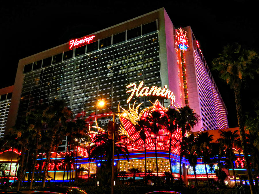 Las Vegas - The Flamingo 001 Photograph by Lance Vaughn