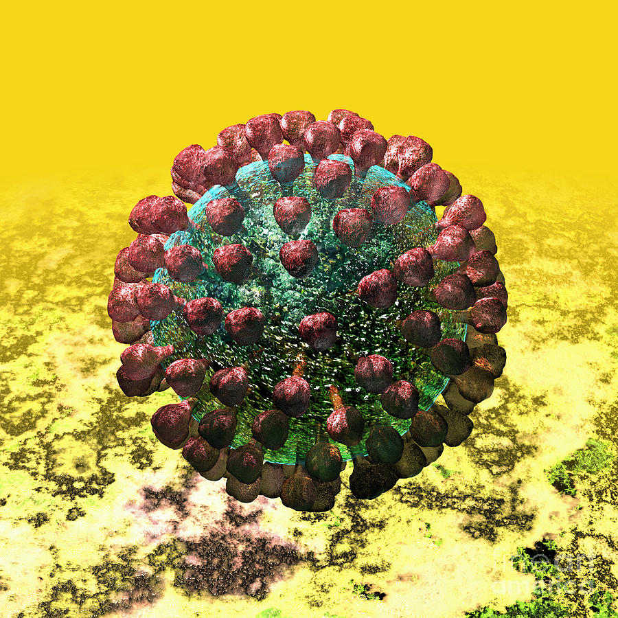Lassa virus #5 Digital Art by Russell Kightley