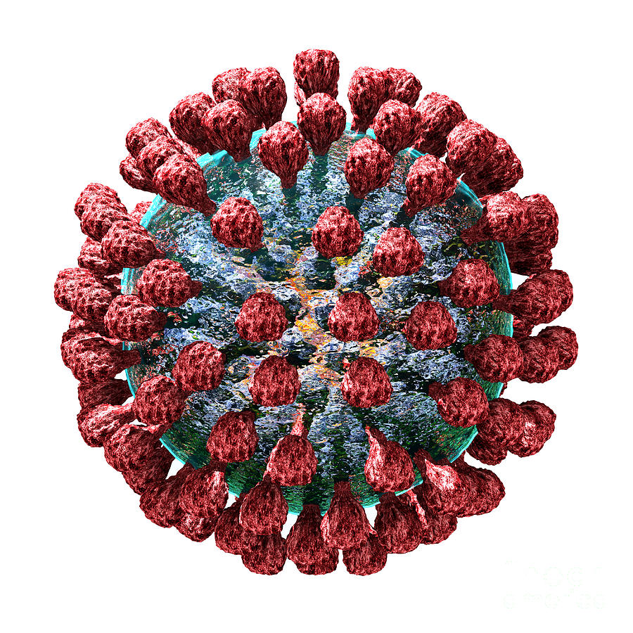 Lassa virus #6 Digital Art by Russell Kightley