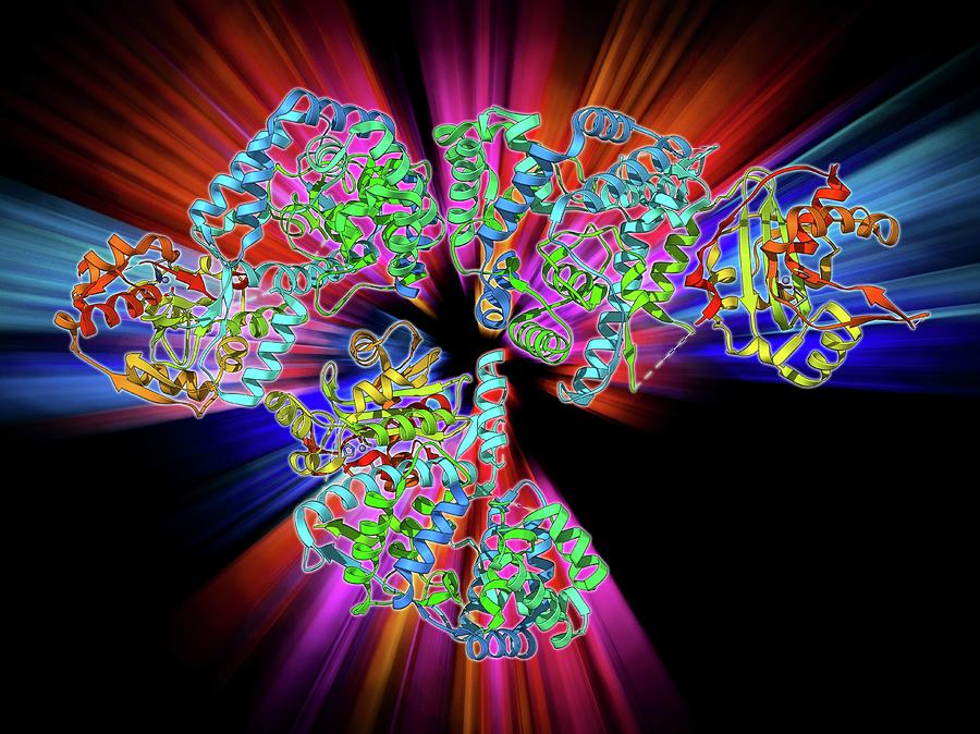 Alpha Helix Photograph - Lassa Virus Nucleocapsid Protein by Laguna Design
