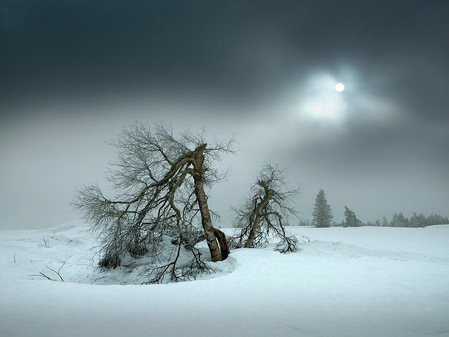 Last Days Of Winter Photograph by Nicolas Schumacher