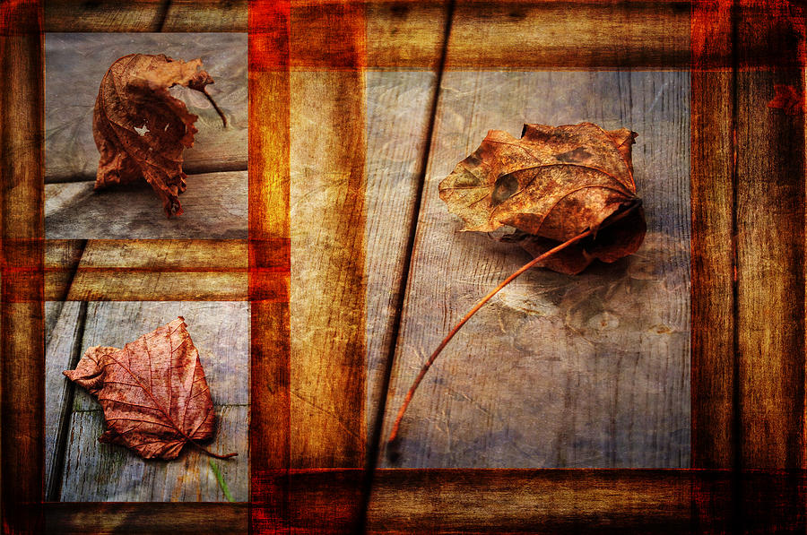 Fall Photograph - Last Days by Randi Grace Nilsberg