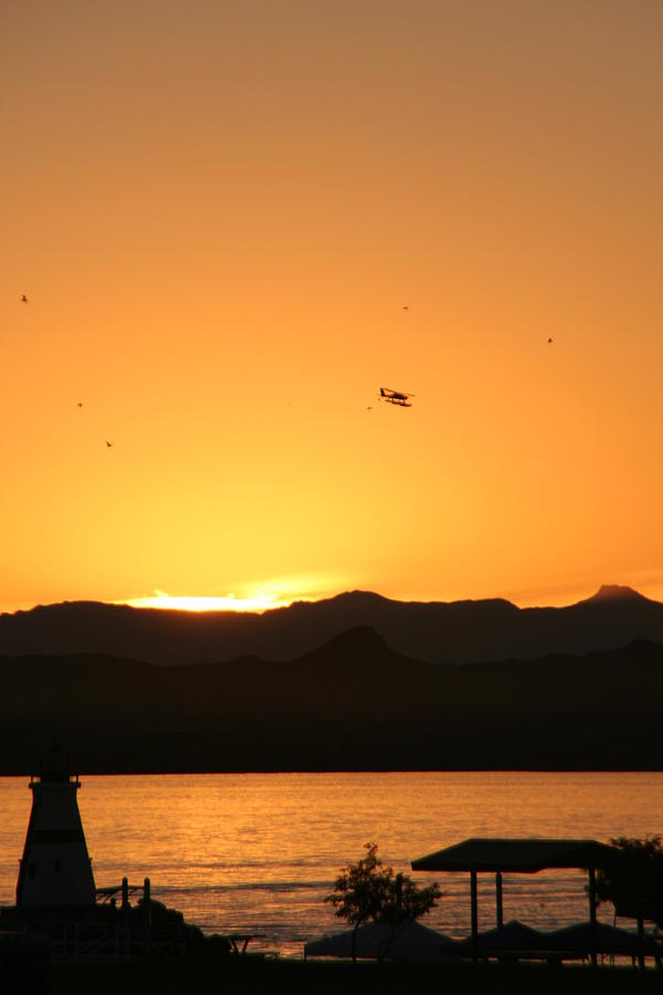 Sunset Photograph - Last flight of the day by David S Reynolds