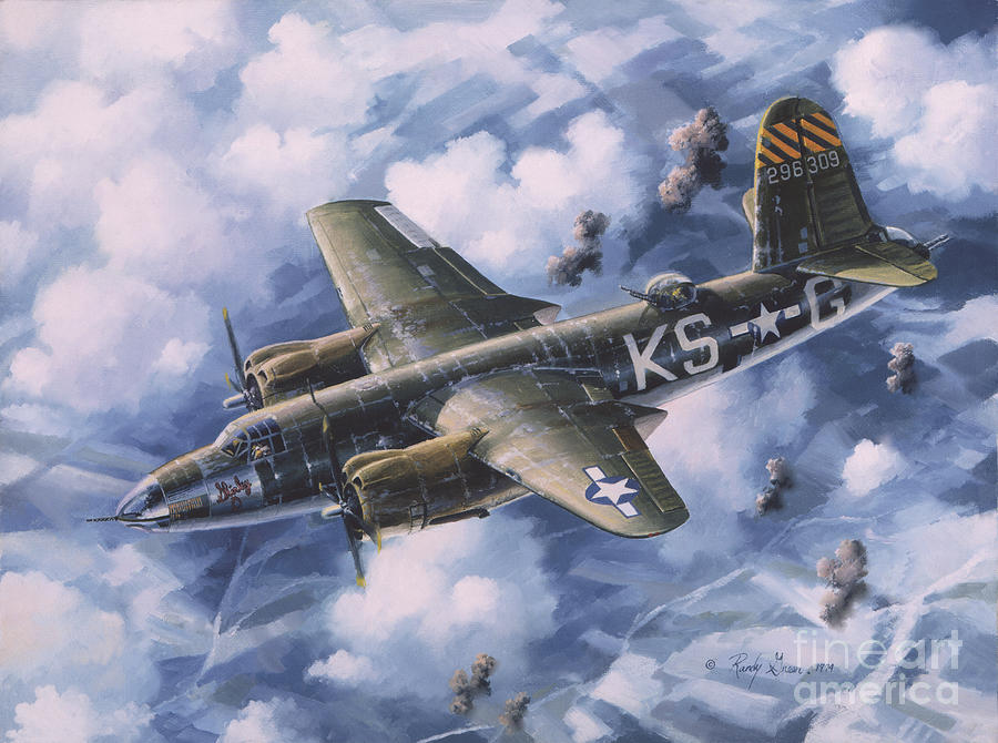 Airplane Painting - Last Flight of the SHIRLEY D by Randy Green