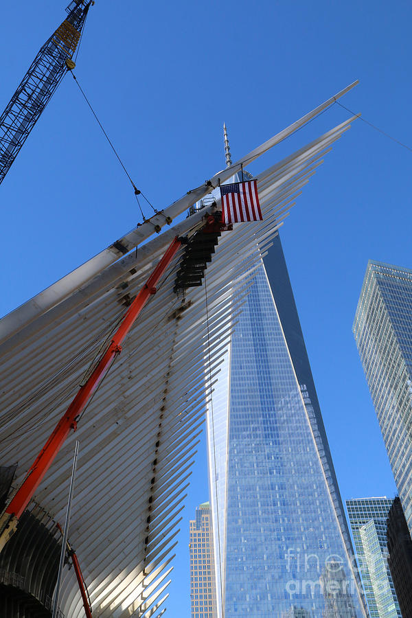 Last Large WTC Oculus Rafter Raised four Photograph by Steven Spak