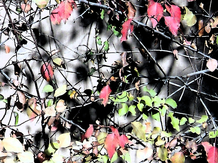 Last Leaves Digital Art by Eric Forster