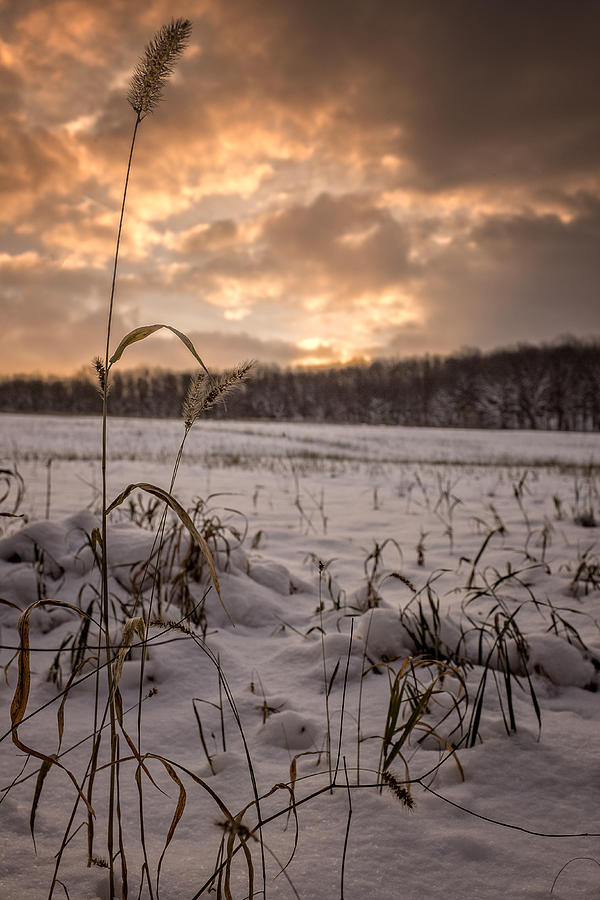 Last light across a winter field Photograph by Chris Bordeleau
