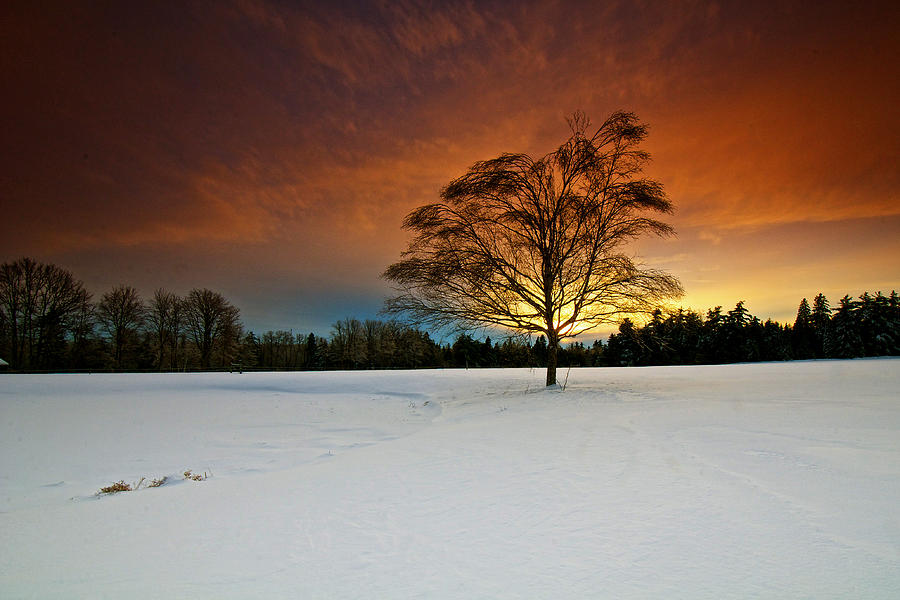 Winter Photograph - Last Light of 2013 by Mark Silk