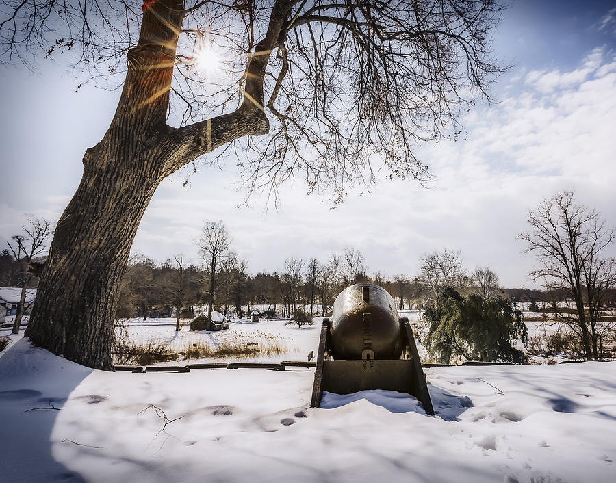 Winter Photograph - Last line of defense by Eduard Moldoveanu