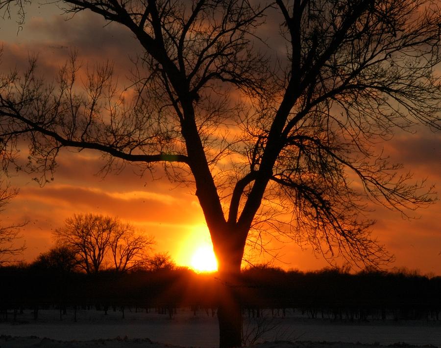 Last of the Sun on the First of the Year Photograph by Pamela ...