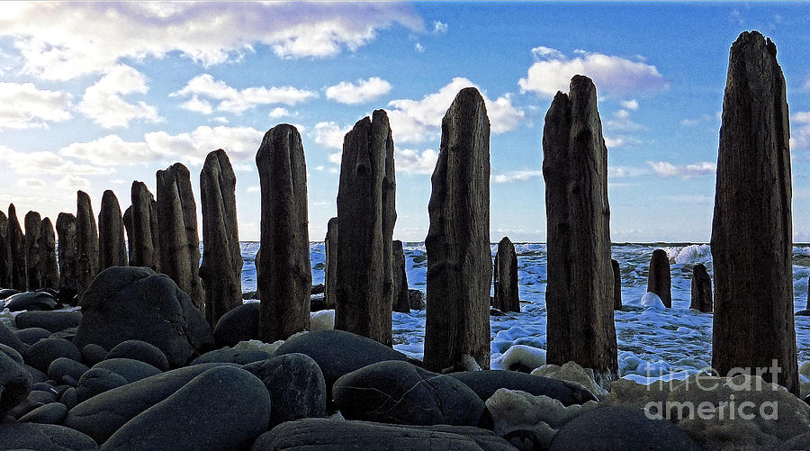 Pebbles Photograph - Last Ones Standing by Pete Moyes