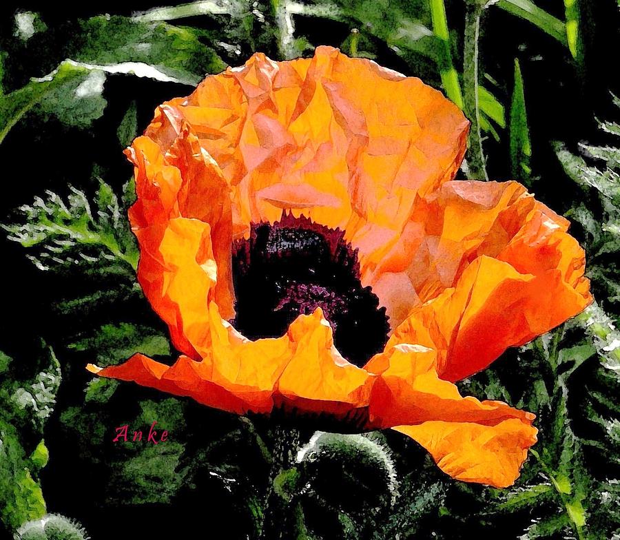 Nature Painting - Last Red Poppy of Summer by Anke Wheeler