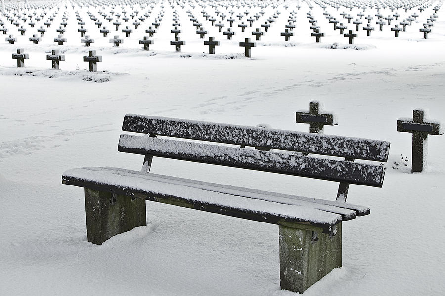 Nature Photograph - Last Resting Place Of Snowflakes by Dirk Ercken