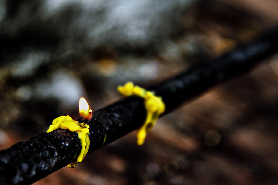 Candle Photograph - Last Second by Suradej Chuephanich