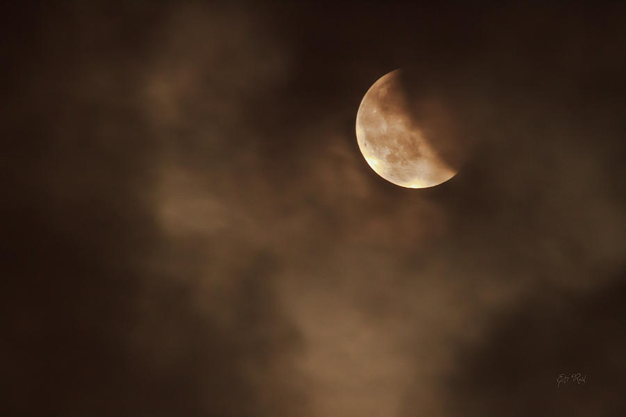 Last stage of the total lunar eclipse April 15 blood Moon through the clouds Photograph by Eti Reid
