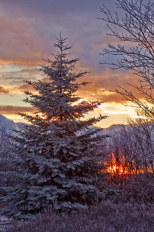 Last Sunrise of 2013 Photograph by Brian Simpson