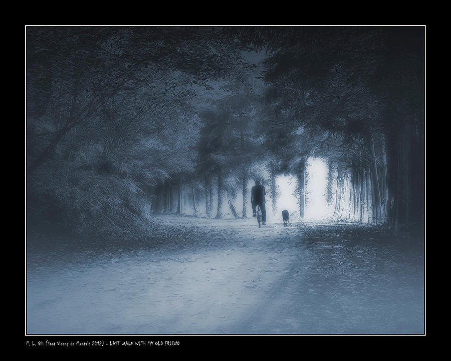 Last Walk With My Old Friend Photograph by Pedro L Gili