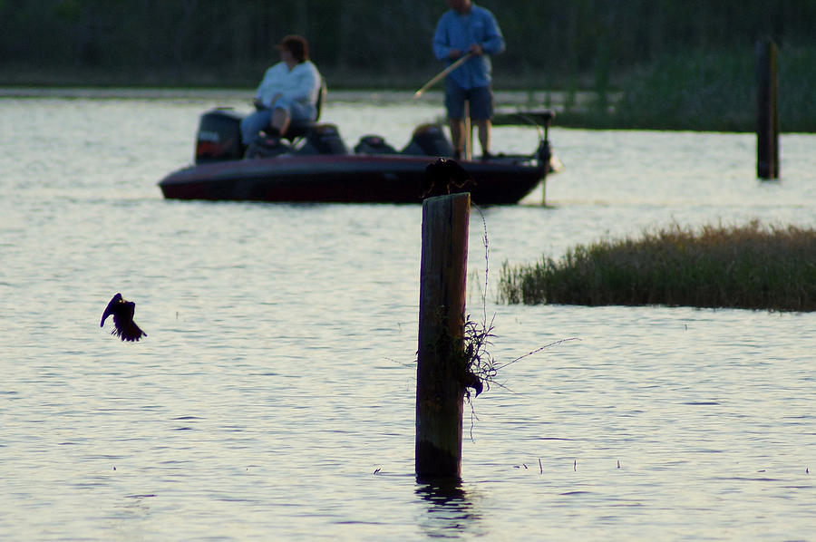 Late Afternoon At Lake Seminole Ga Bass Fishing Photograph