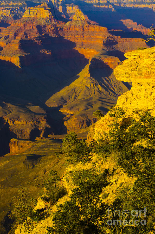 Late Afternoon at the Grand Canyon Photograph by Deborah Smolinske