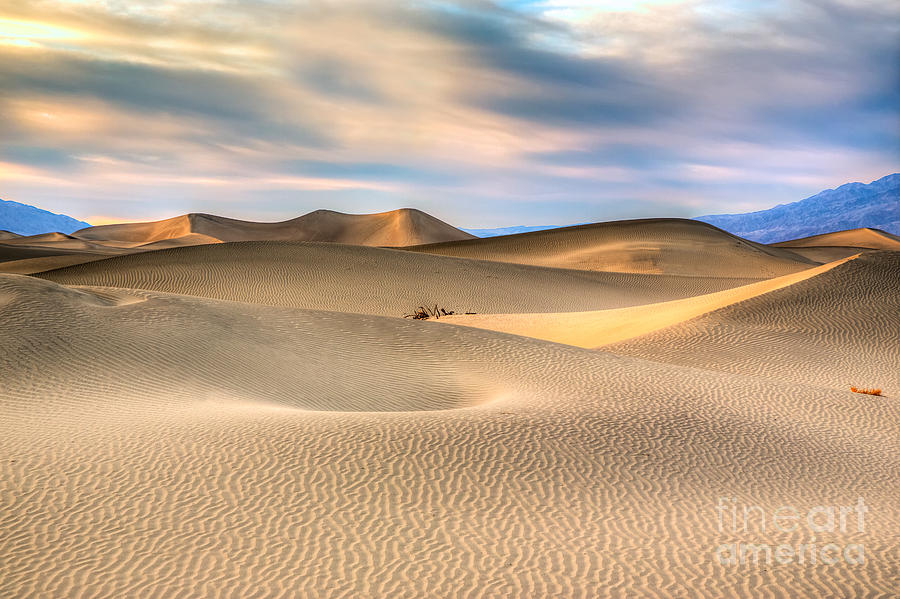 Late Afternoon At The Mesquite Dunes Photograph by Mimi Ditchie
