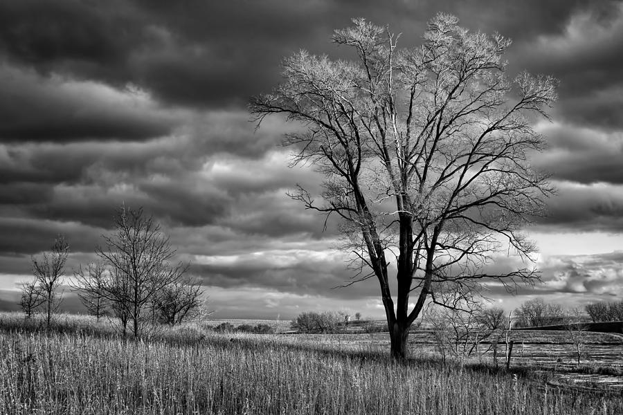 Up Movie Photograph - Late Afternoon at Walnut Creek Lake #2 - Black and White by Nikolyn McDonald