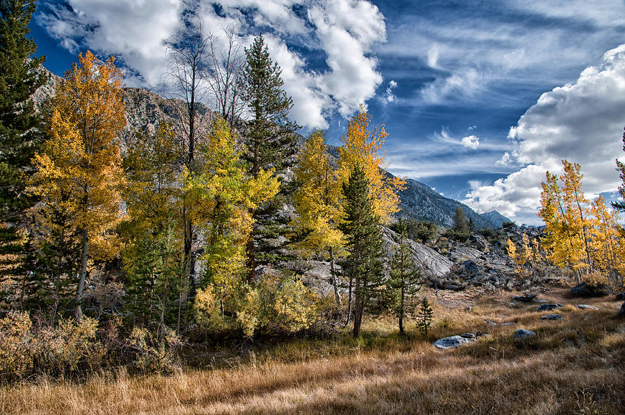 Mountain Photograph - Late Afternoon in the Fall by Cat Connor