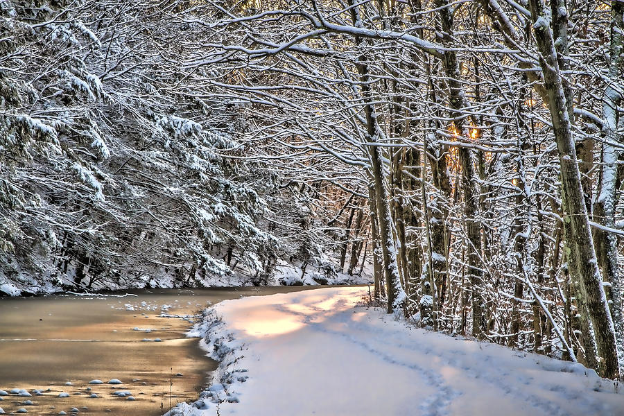 Late Afternoon in the Snow Photograph by Eleanor Abramson