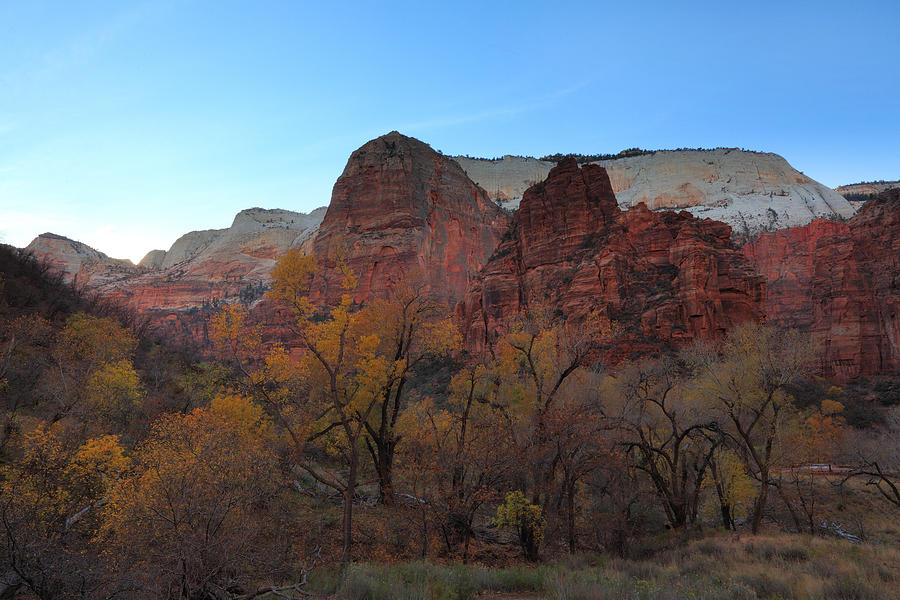 Late Afternoon Light at Zion Photograph by Alan Vance Ley
