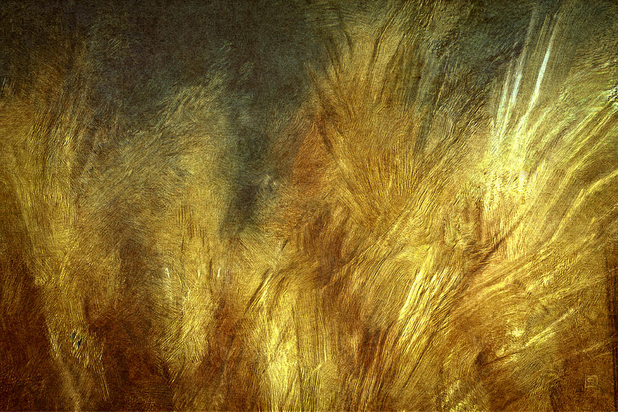 Late Afternoon Pampas Grasses Painting by Jean Moore